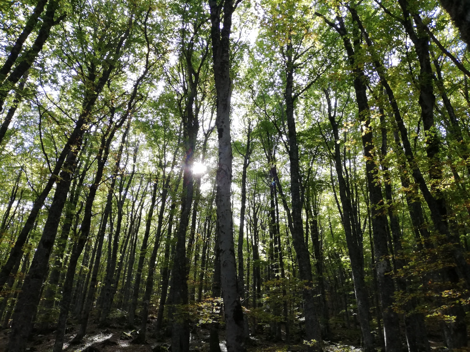 Certe volte, si vede il sole anche in difficili vicende di vita aquilana.